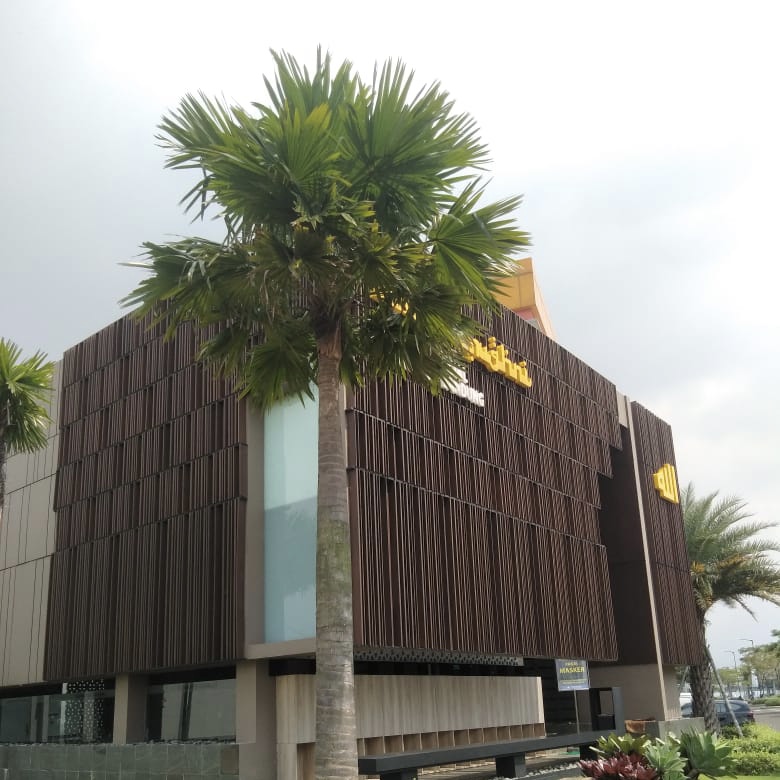 Pohon Palem Sadeng